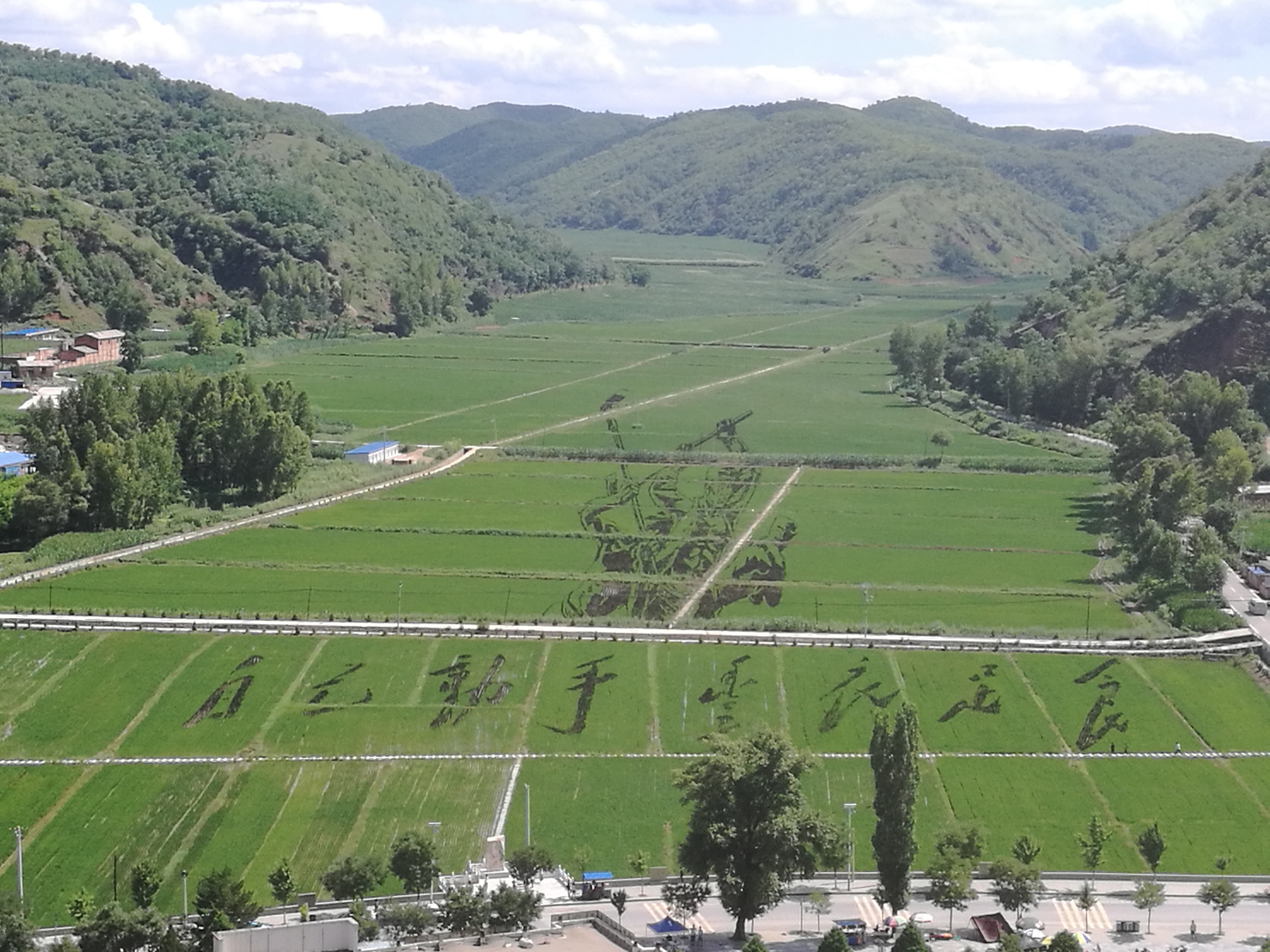 191637292985767634.jpeg 南泥灣.jpg