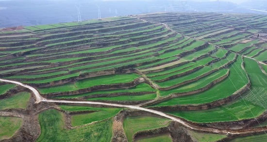 201663645190579770.jpeg IMG_4234(20220920-113702).JPG