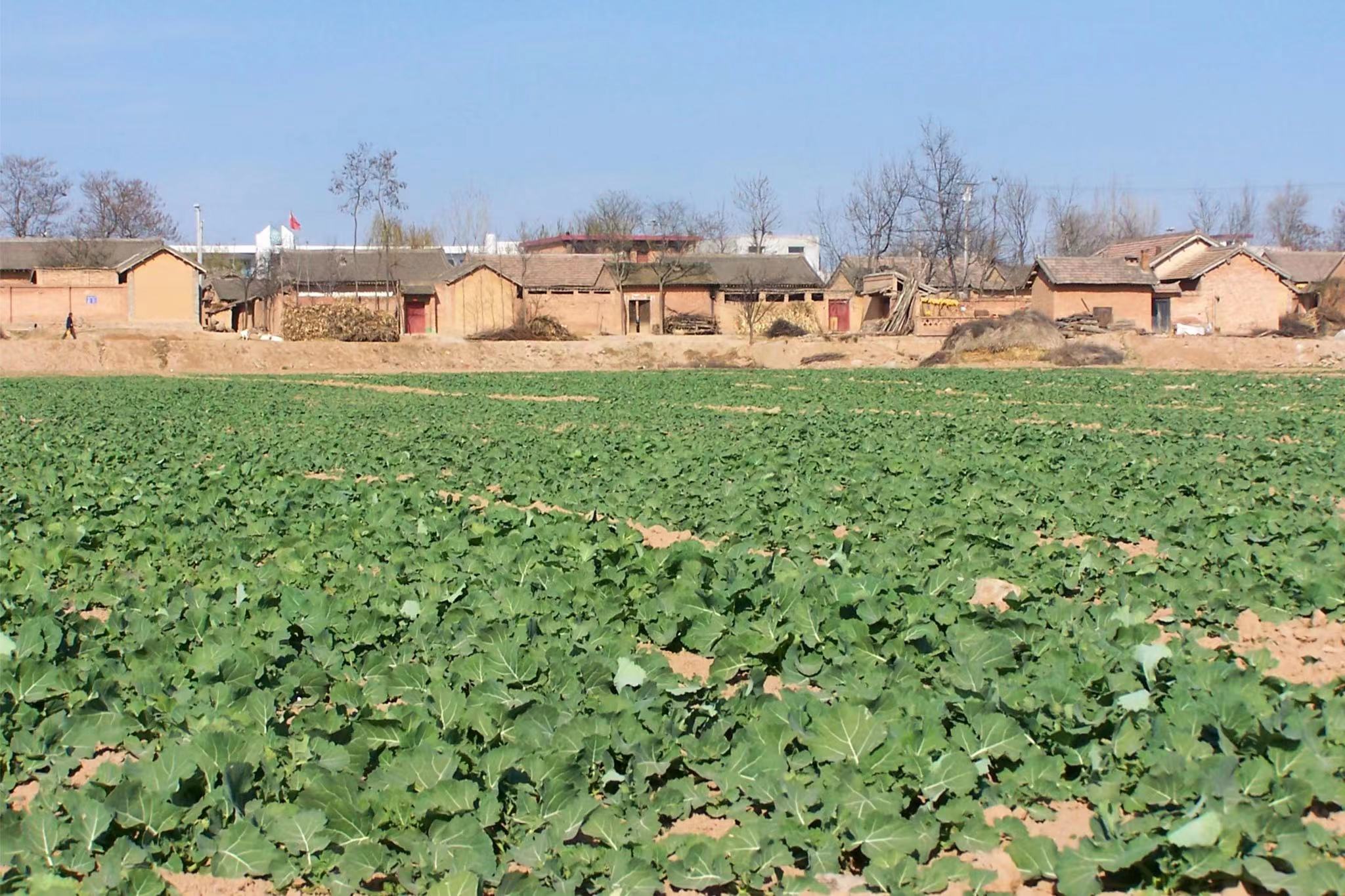 201663653012126404.jpeg 57f3c2b3628a7e4af570c5ea7cf4d22.jpg