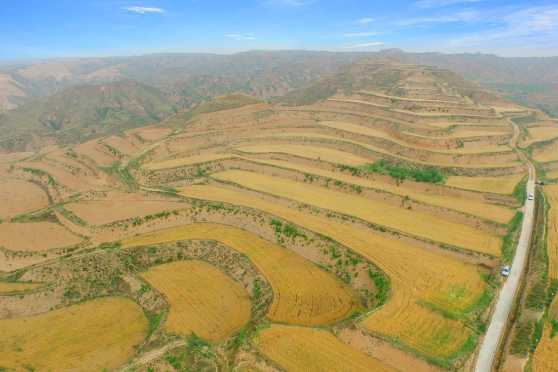 231624414840335127.png 231624414840335127.png